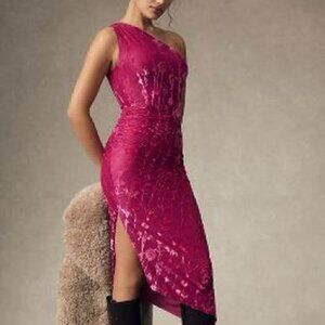 Hutch One-Shoulder Ruched Velvet Dress Pink/Rose/Magenta XL